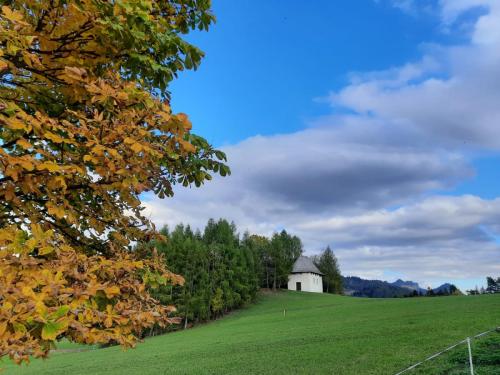 Kapliczka św. Rozalii