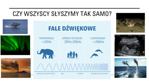 fale-dzwiekowe